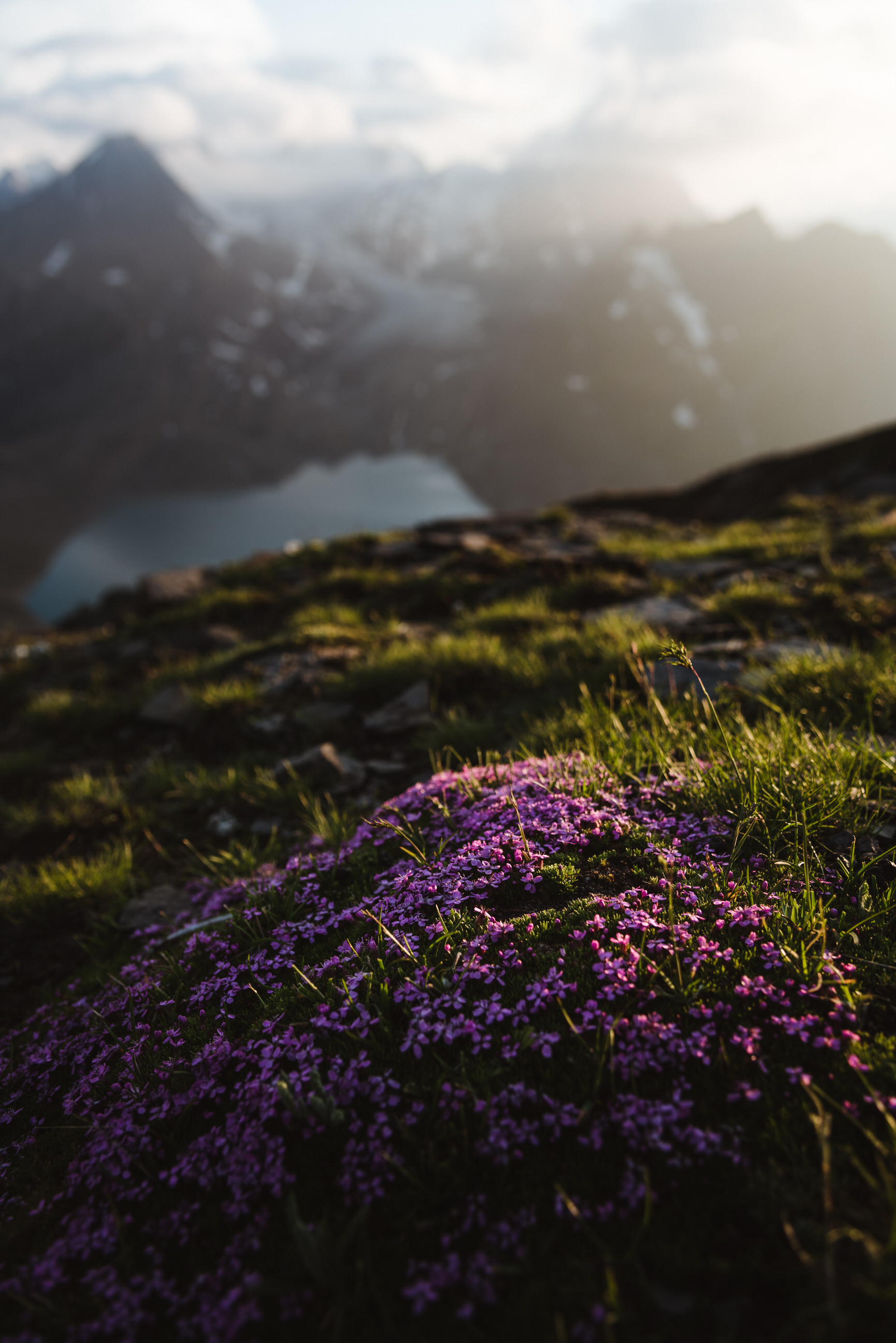 photo of summer hike